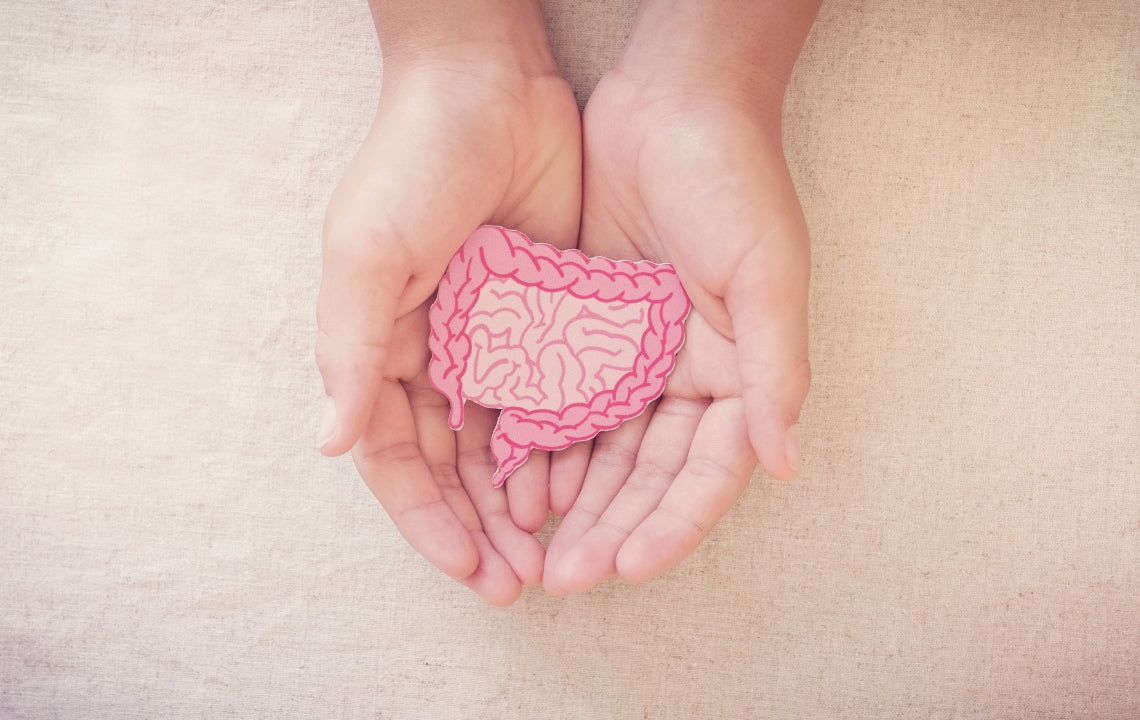 Your Gut as the Second Brain