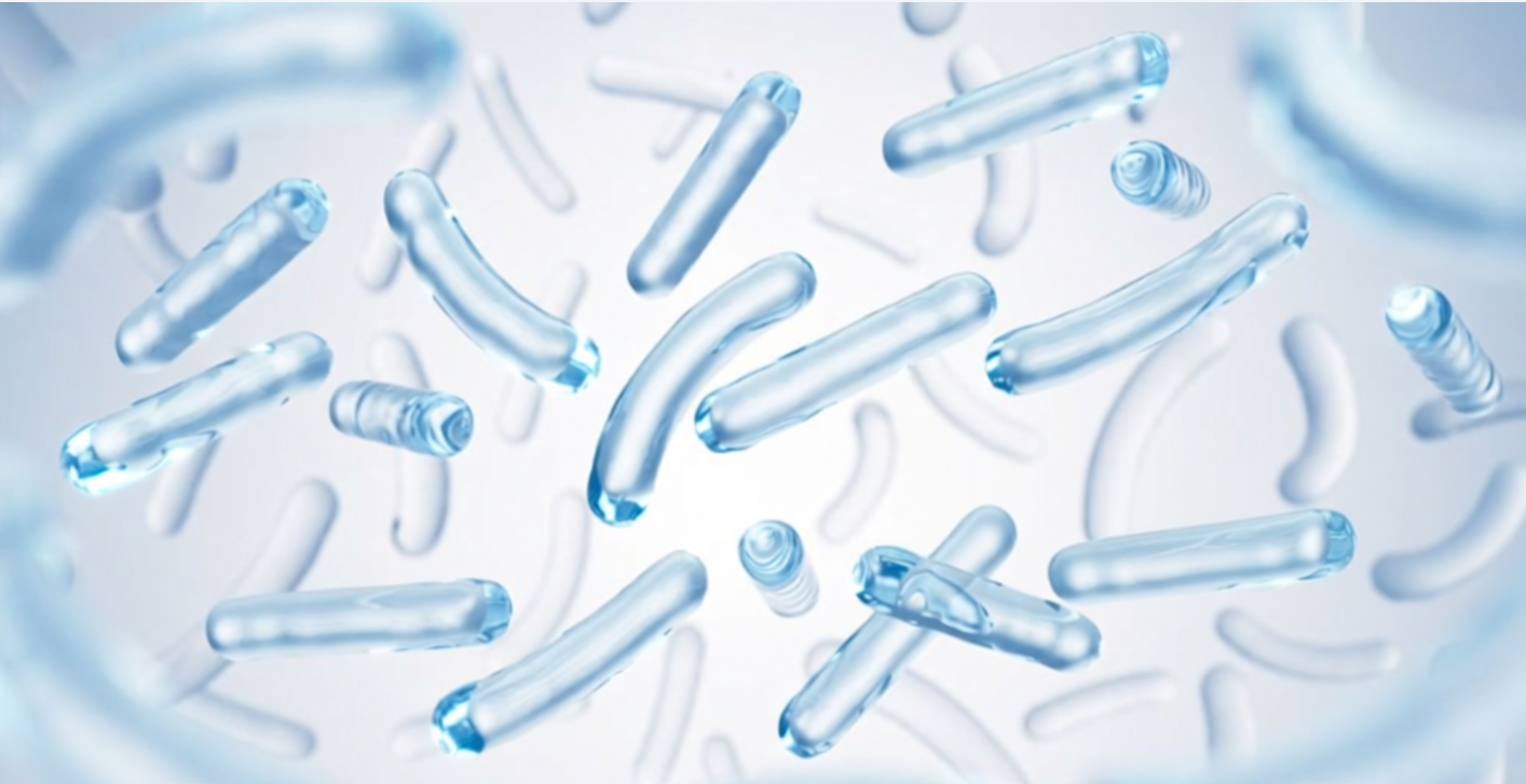 A 3D illustration of blue, rod-shaped probiotic bacteria floating under a microscope, representing the microorganisms found in the best probiotics Singapore has to offer.